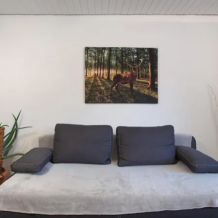 Appartement Schwarzwaldglueck *