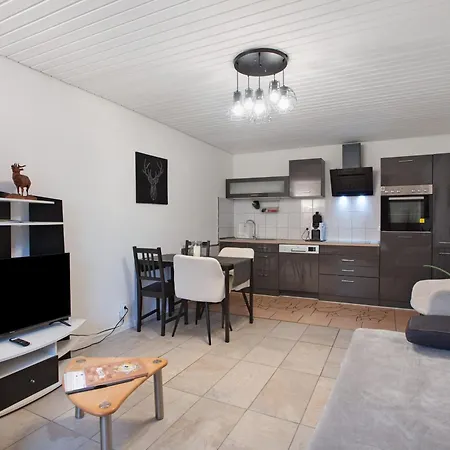 Schwarzwaldglueck Apartamento St. Blasien