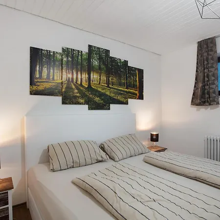 Schwarzwaldglueck Appartement St. Blasien