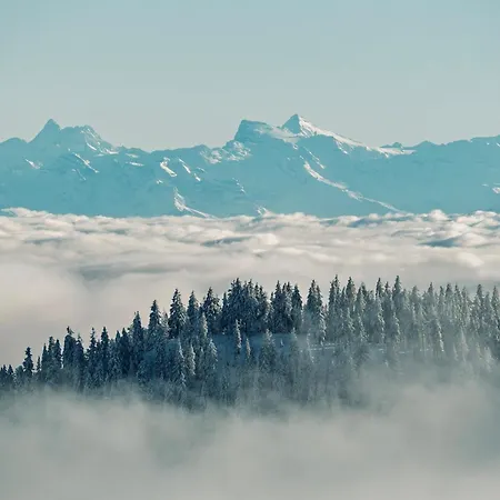 Schwarzwaldglück Apartamento St. Blasien