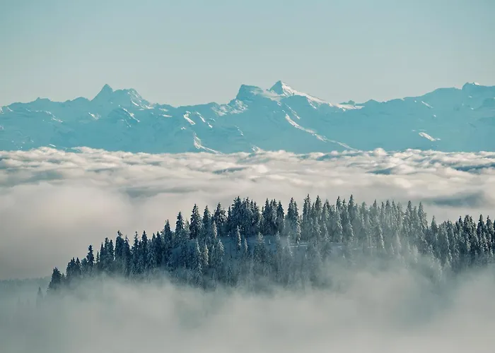 Schwarzwaldglück Apartamento St. Blasien