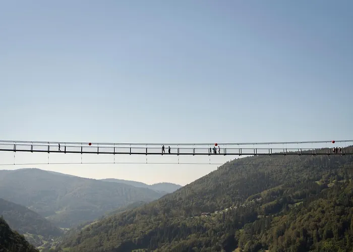 Schwarzwaldglück St. Blasien