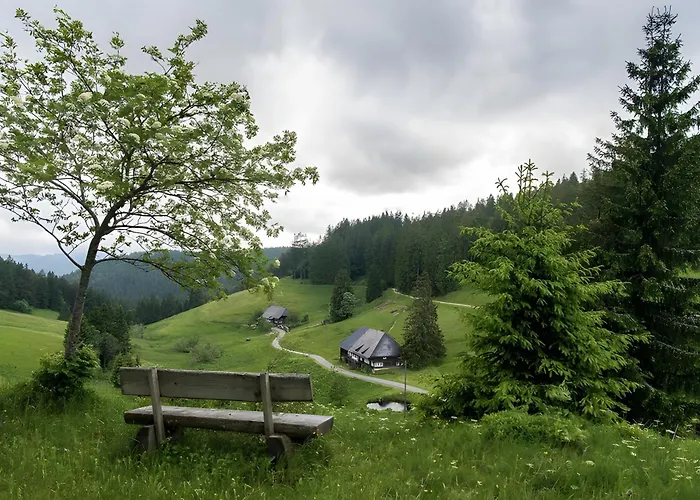 Schwarzwaldglück Apartamento