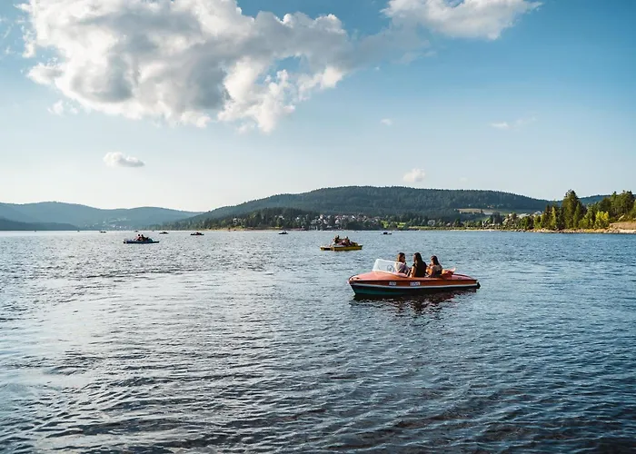 Schwarzwaldglück St. Blasien