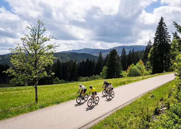 Schwarzwaldglueck Lejlighed